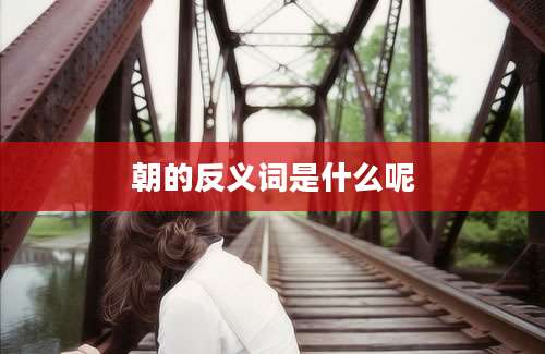 朝的反义词是什么呢