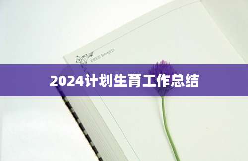 2024计划生育工作总结