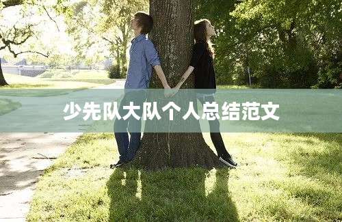 少先队大队个人总结范文