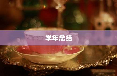 学年总结