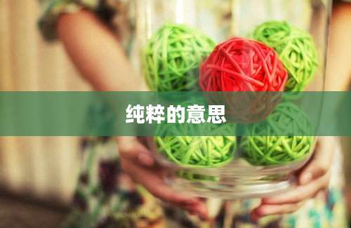 纯粹的意思