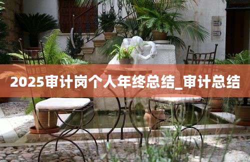 2025审计岗个人年终总结_审计总结