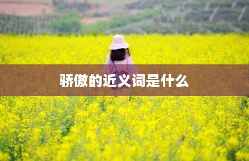 骄傲的近义词是什么