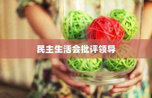 民主生活会批评领导