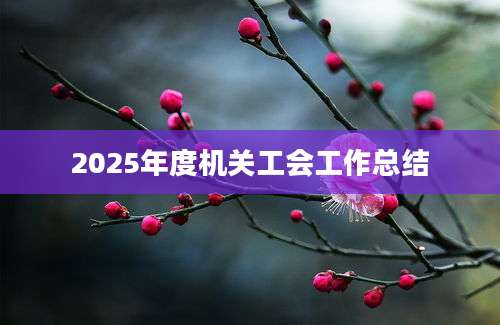 2025年度机关工会工作总结