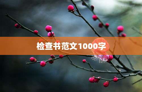 检查书范文1000字