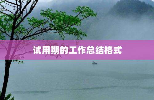 试用期的工作总结格式