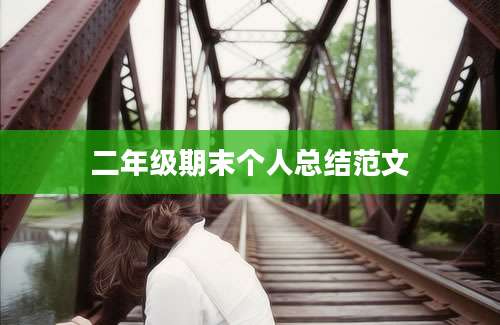 二年级期末个人总结范文