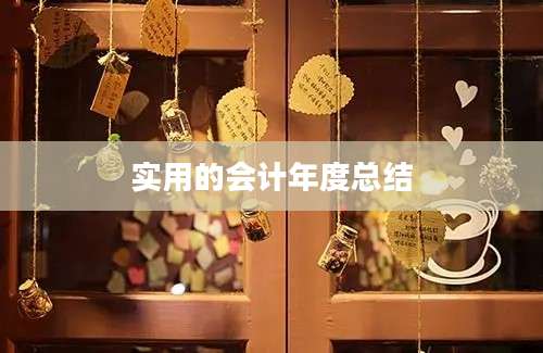 实用的会计年度总结