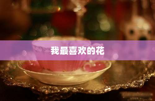 我最喜欢的花