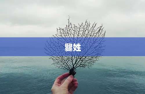 爨姓