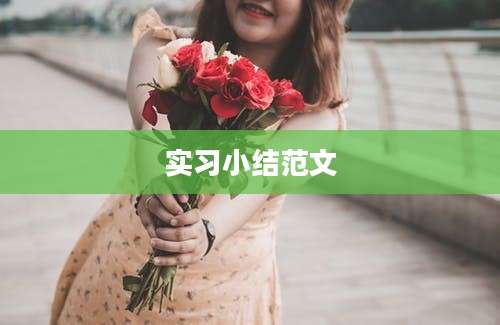 实习小结范文