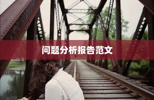 问题分析报告范文