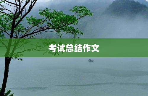 考试总结作文