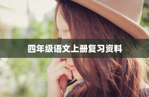 四年级语文上册复习资料