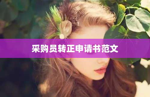 采购员转正申请书范文