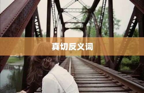 真切反义词