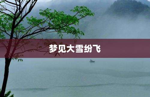 梦见大雪纷飞