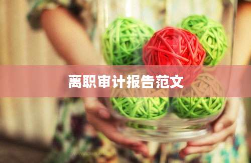 离职审计报告范文