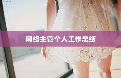 网络主管个人工作总结