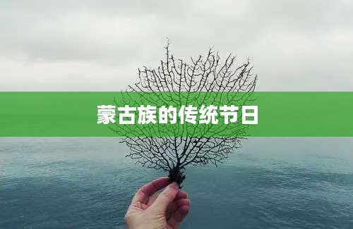 蒙古族的传统节日