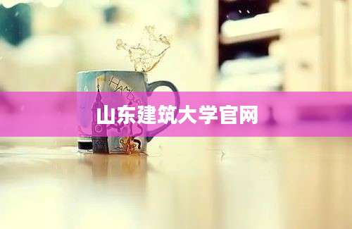 山东建筑大学官网