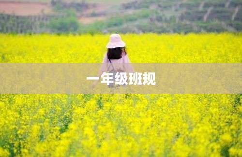 一年级班规