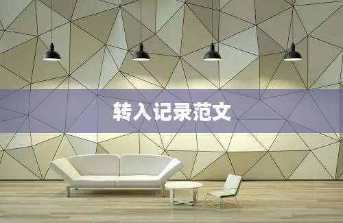 转入记录范文
