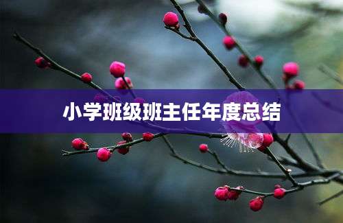 小学班级班主任年度总结