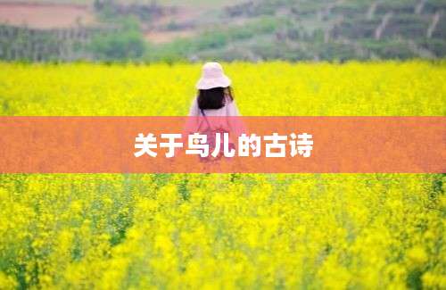 关于鸟儿的古诗
