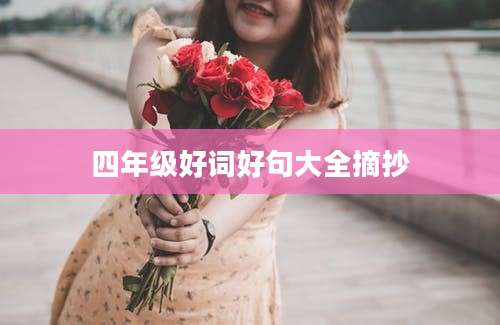 四年级好词好句大全摘抄