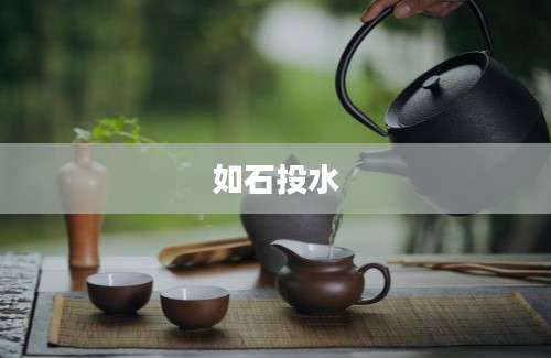 如石投水