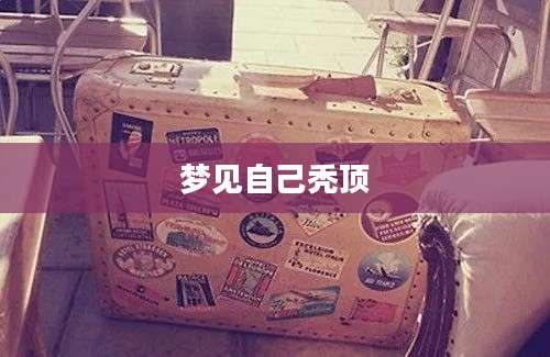 梦见自己秃顶
