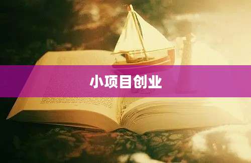 小项目创业