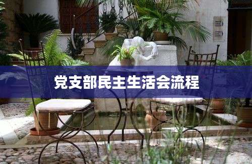 党支部民主生活会流程