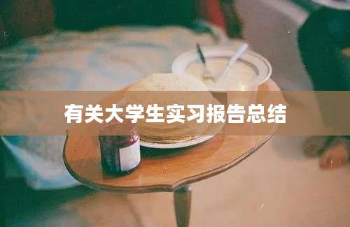 有关大学生实习报告总结