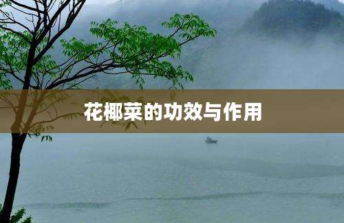 花椰菜的功效与作用