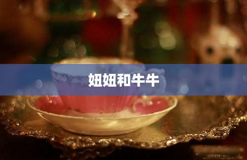 妞妞和牛牛
