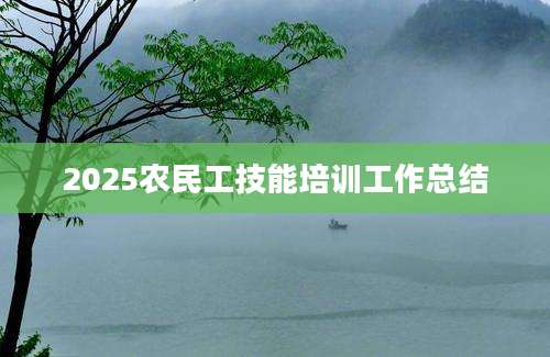 2025农民工技能培训工作总结