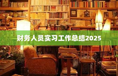 财务人员实习工作总结2025