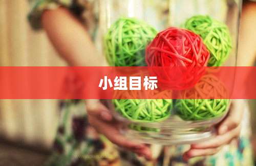 小组目标