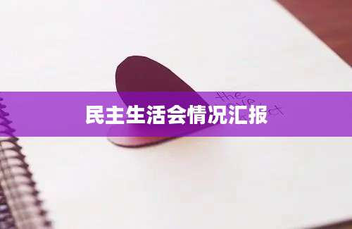民主生活会情况汇报
