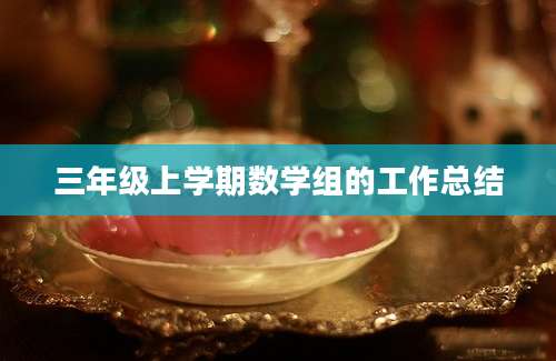 三年级上学期数学组的工作总结