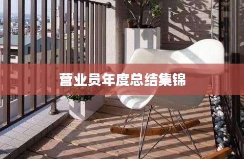 营业员年度总结集锦