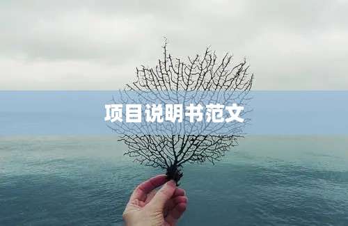 项目说明书范文