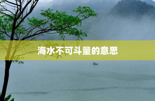 海水不可斗量的意思