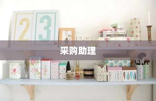采购助理