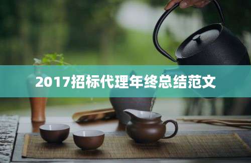 2017招标代理年终总结范文
