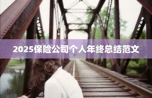 2025保险公司个人年终总结范文