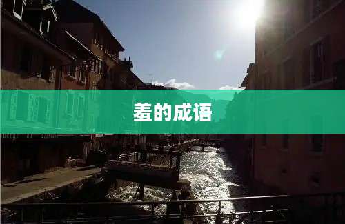 羞的成语